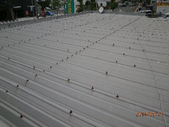 折板屋根塗装の施工事例写真①